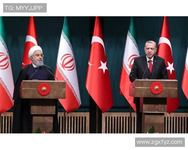 伊朗与中国的合作前景分析是否会出现资金放水现象